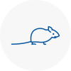 Mice Exterminators In N4